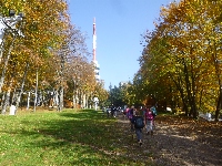 p1160248.jpg