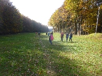 p1160284.jpg