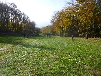 p1160295.jpg