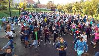 dscf9708.jpg