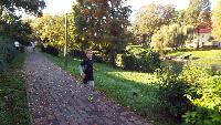 dscf9778.jpg