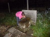 p1160540.jpg