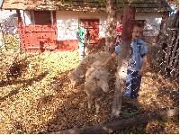 dsc04312.jpg