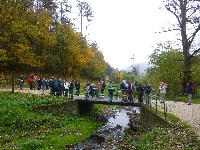 p1160821.jpg