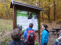 p1160851.jpg