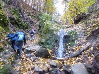 p1160880.jpg
