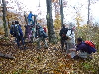 p1160963.jpg