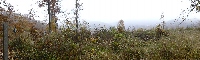 p1160966.jpg