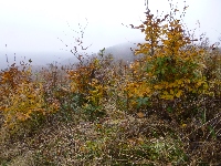 p1160971.jpg