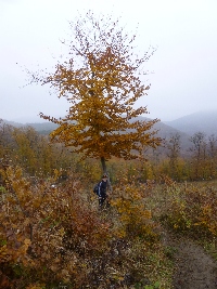 p1160972.jpg