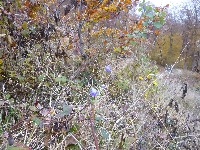 p1160973.jpg