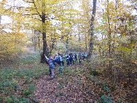 p1160975.jpg