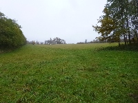 p1160983.jpg