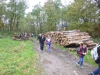 p1160984.jpg