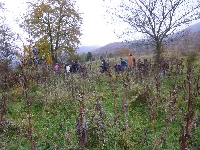 p1160989.jpg