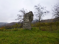 p1160996.jpg