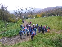 p1170010.jpg