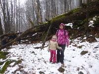p1170735.jpg