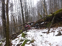 p1170737.jpg