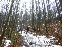 p1170748.jpg