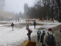 p1170774.jpg