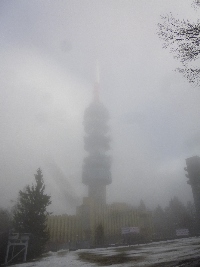 p1170776.jpg