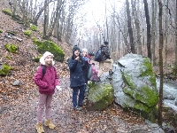 p1180403.jpg