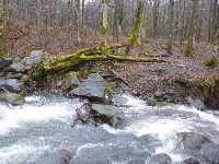 p1180416.jpg