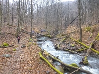 p1180417.jpg