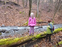 p1180433.jpg