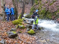 p1180434.jpg