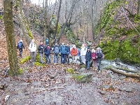 p1180443.jpg