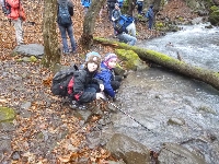 p1180450.jpg