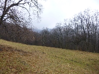 p1180461.jpg