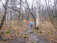 p1180466.jpg