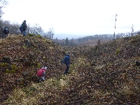 p1180497.jpg