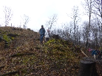 p1180502.jpg
