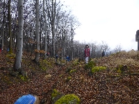p1180509.jpg