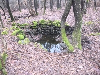 p1180515.jpg