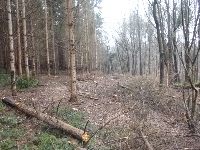 p1180516.jpg