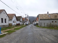 p1180784.jpg