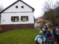p1180797.jpg