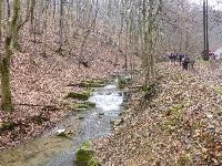 p1180813.jpg