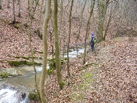 p1180817.jpg