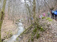 p1180828.jpg