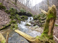 p1180833.jpg