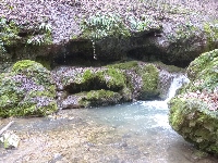 p1180840.jpg