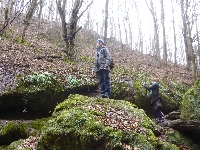 p1180841.jpg