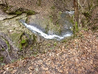 p1180846.jpg