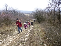 p1180869.jpg